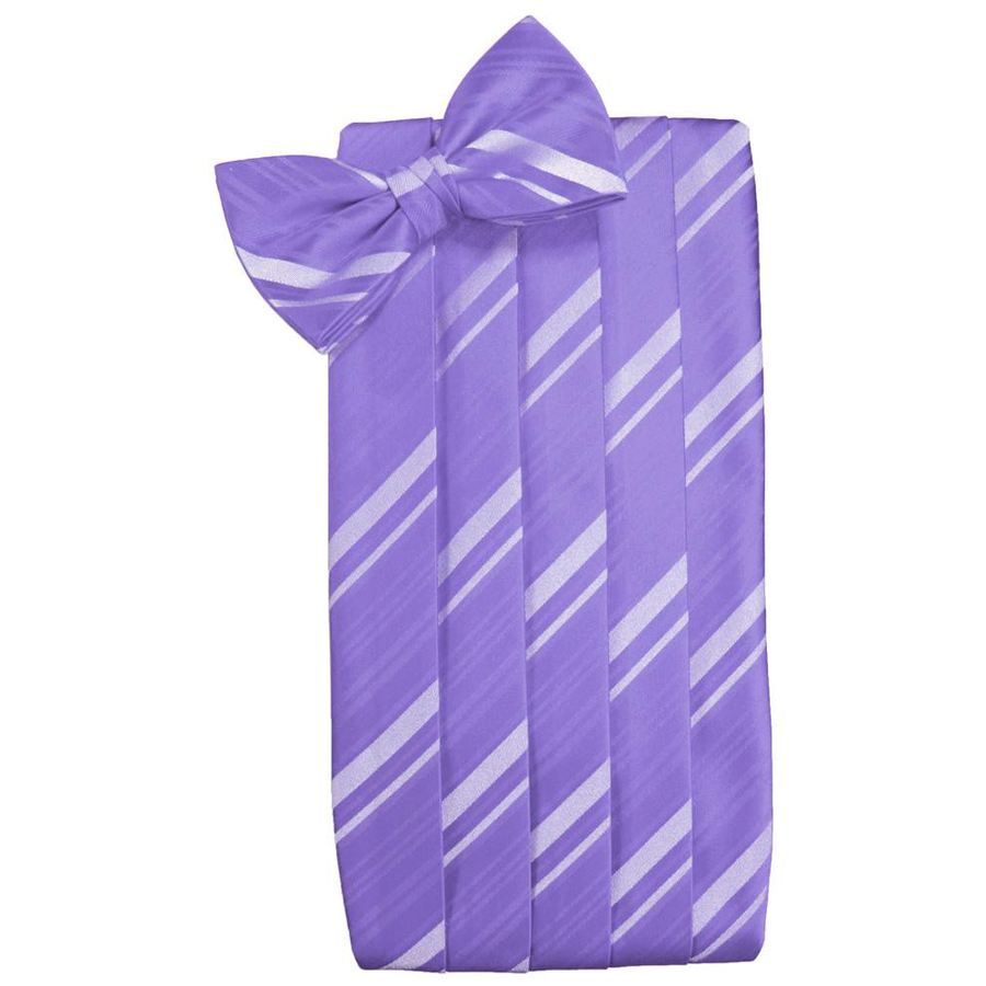 Mens Freesia Striped Satin Bow Tie and Cummerbund Set