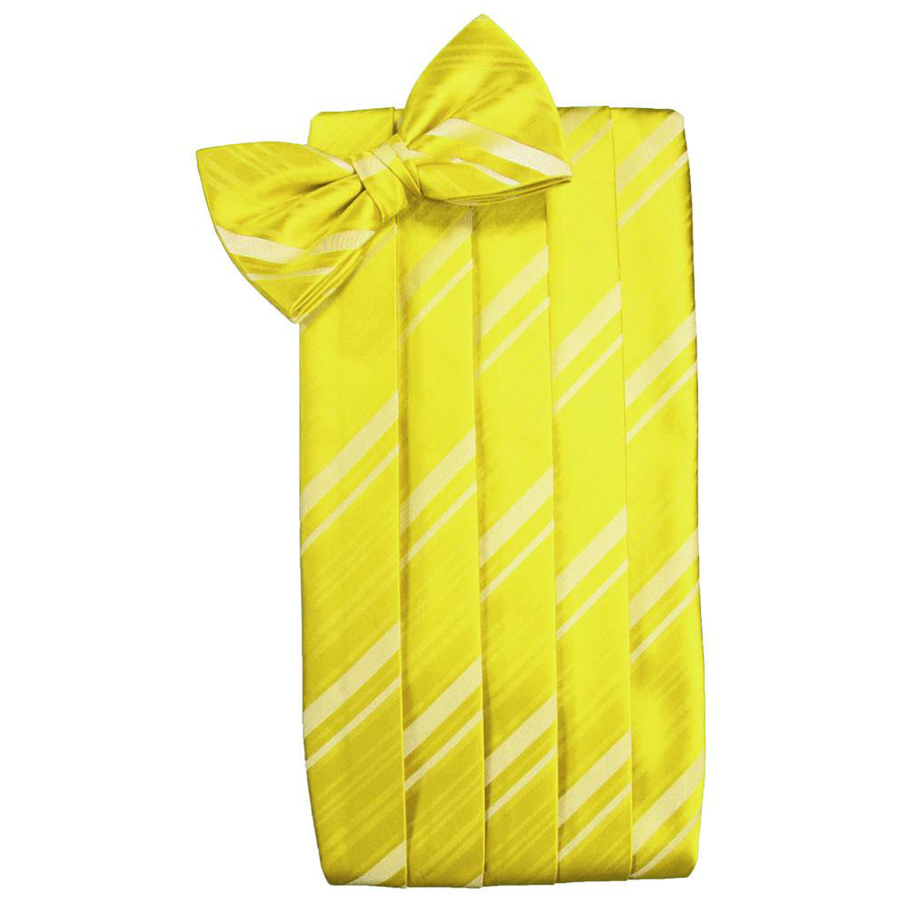 Mens Lemon Striped Satin Bow Tie and Cummerbund Set